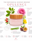 Opulence Cream with Engelhardtia Chrysolepis